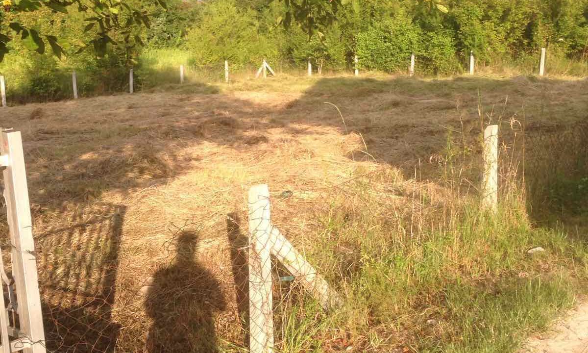 viber image 2023 07 17 19 44 10 470